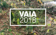 VAIA - 2018. Articoli ricavati dagli alberi schiantati dalla tempesta VAIA